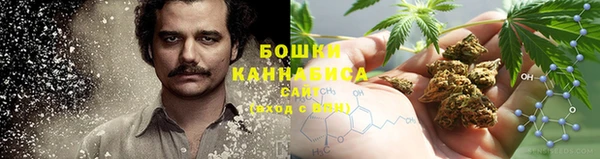 дурь Горнозаводск