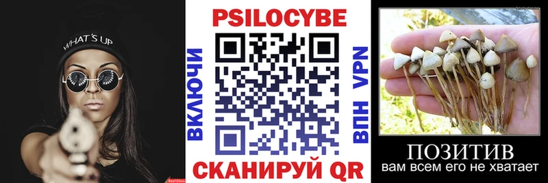 Псилоцибиновые грибы Cubensis Купить закладки Онега